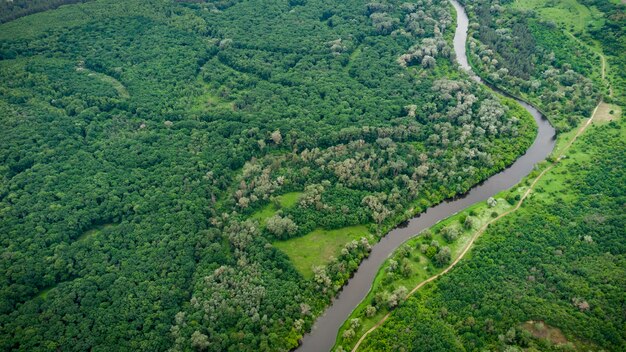 Vue aérienne sur la rivière qui se trouve sur la forêt verte.