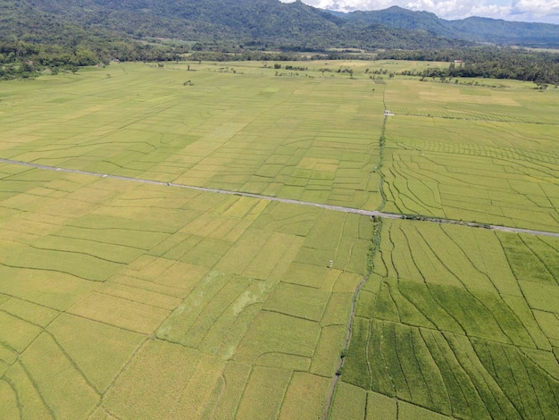 Vue aérienne de la rizière avec route à Pronosutan View Kulon Progo Yogyakarta