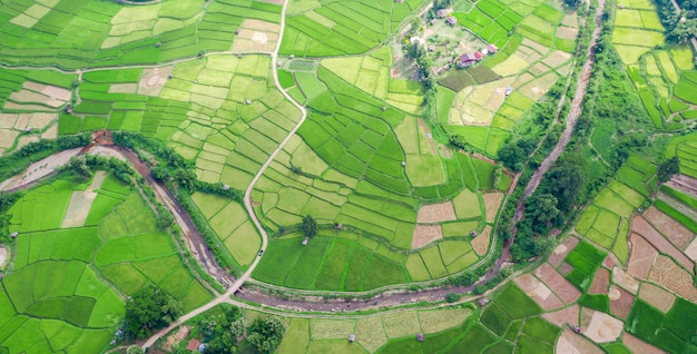 Vue aérienne de la rizière verte paysage modèle différent au matin dans le nord de la Thaïlande