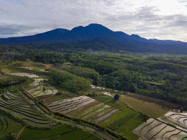 Vue aérienne des rizières en terrasses sous la montagne Barisan au lever du soleil