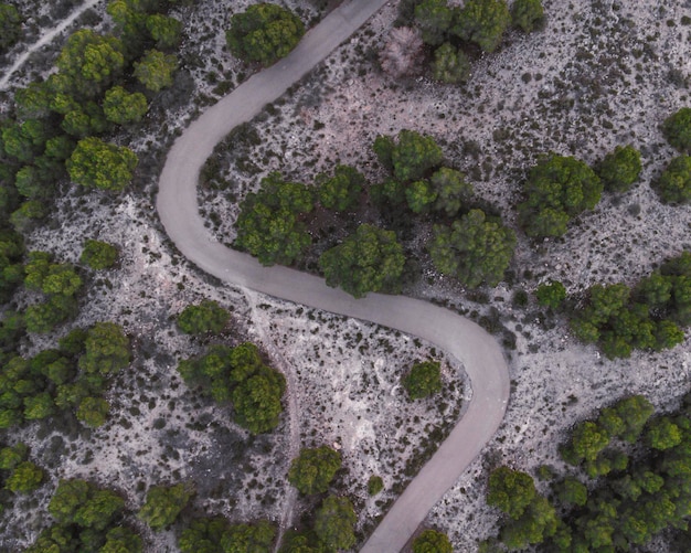 Vue aérienne d'une route avec des arbres