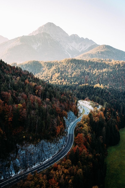 Vue aérienne de la route au milieu des arbres contre les montagnes en automne