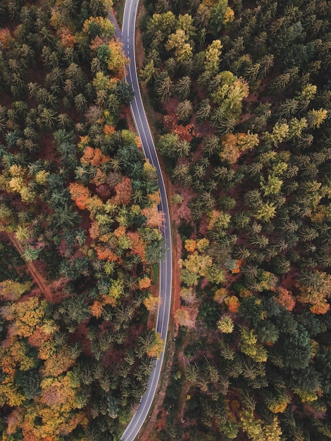 Vue aérienne de la route au milieu des arbres dans la forêt