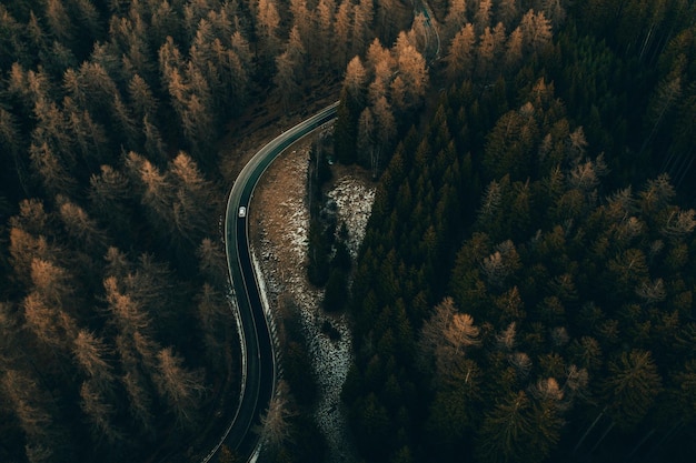Vue aérienne d'une route au milieu des arbres de la forêt