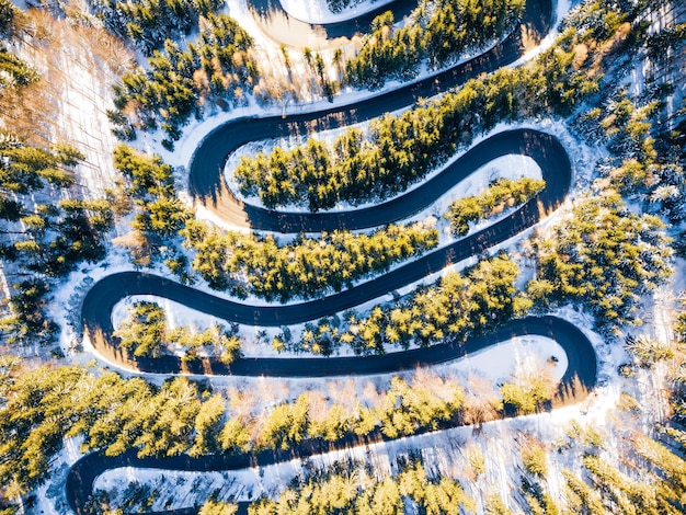 Photo vue aérienne de la route au milieu des arbres en hiver