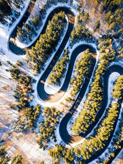 Photo vue aérienne de la route au milieu des arbres en hiver