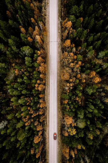 Vue aérienne de la route d'automne avec les bois d'automne et la première neige en Finlande