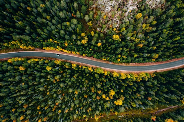 Vue aérienne de la route courbe et de la forêt d'automne colorée en Laponie finlandaise