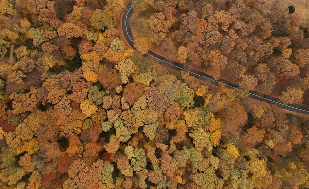Vue aérienne sur la route dans la belle forêt d'automne