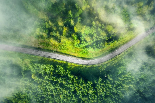 Vue aérienne de la route dans la belle forêt verte dans les nuages bas au coucher du soleil en été Paysage coloré avec chaussée dans le brouillard pins dans les montagnes des Carpates Vue de dessus de l'autoroute Voyage en Ukraine