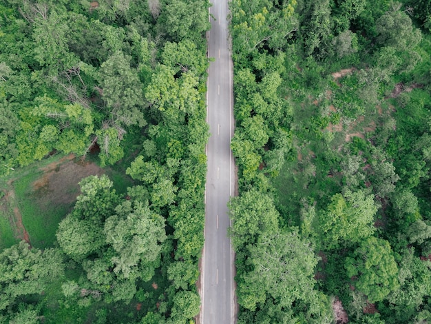 Vue aérienne de la route dans la forêt verte. Paysage incroyable avec route rurale