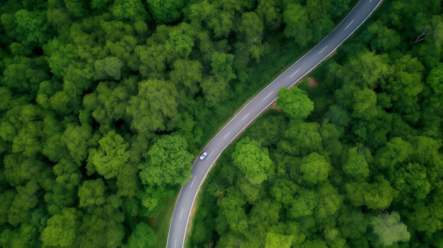 Vue aérienne d'une route dans la forêt