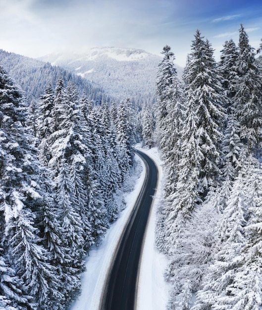 Vue aérienne sur la route et la forêt en hiver Paysage d'hiver naturel depuis l'air Forêt sous la neige en hiver Paysage depuis un drone