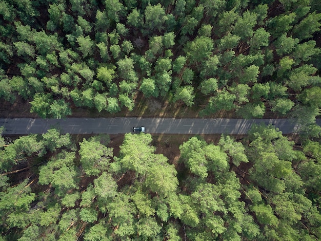 Vue aérienne de la route goudronnée et de la forêt de pins verts avec vue sur l'aventure de la voiture d'en haut