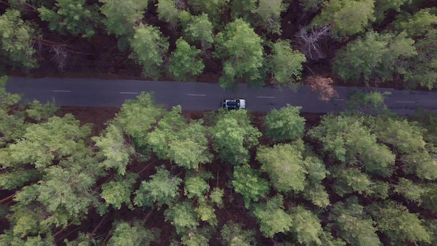 Vue aérienne de la route goudronnée et de la forêt de pins verts avec vue sur l'aventure de la voiture d'en haut