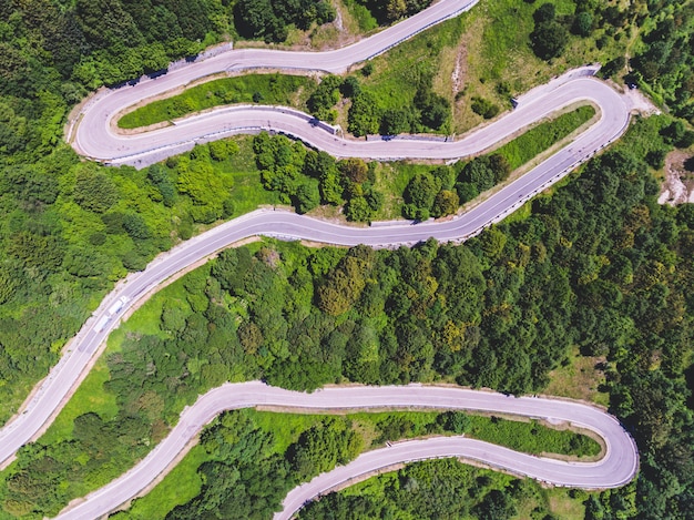 Vue aérienne, de, route montagne, et, arbres