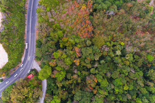 Vue aérienne de la route de montagne dans la forêt en automne Vue de dessus depuis le drone de la route courbe Paysage coloré avec une chaussée incurvée Beaux arbres avec des feuilles orange en automne Voyage Asie Phuket Thaïlande