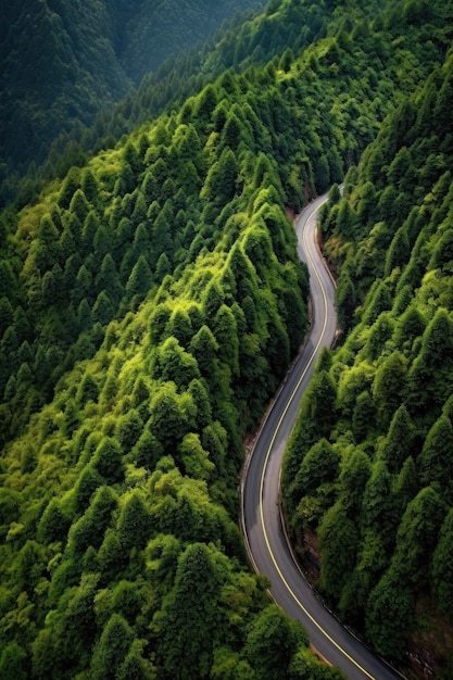 Vue aérienne d'une route de montagne sinueuse à travers les arbres créée avec une IA générative