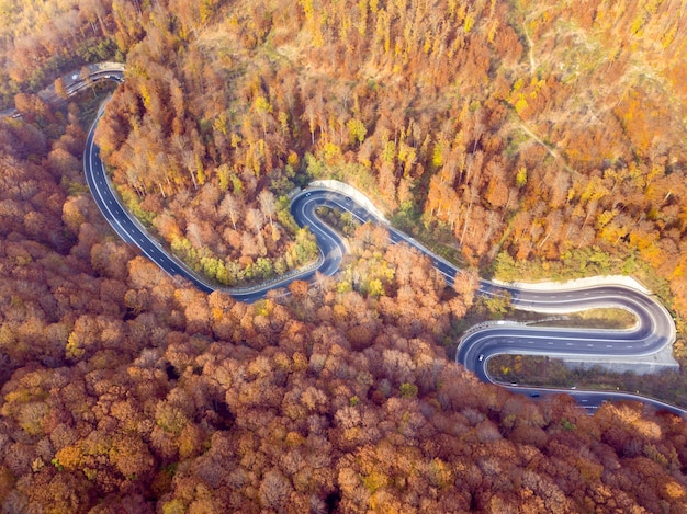 Vue aérienne d'une route sinueuse au milieu d'un arbre