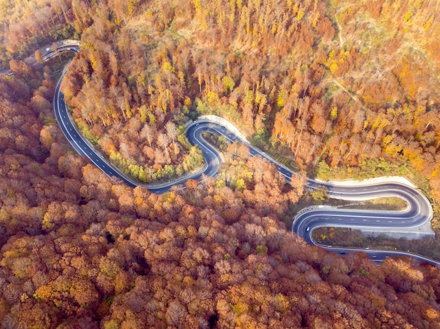 Photo vue aérienne d'une route sinueuse au milieu d'un arbre