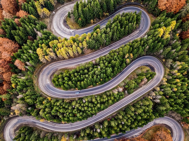 Photo vue aérienne d'une route sinueuse au milieu d'un arbre