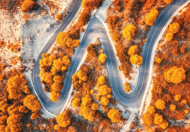 Photo vue aérienne de la route sinueuse dans la belle forêt rouge au coucher du soleil en automne vue de dessus de la route de montagne dans les bois paysage coloré avec des arbres de la chaussée avec des feuilles rouges et oranges à l'automne voyage nature