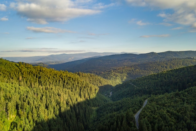 Vue aérienne de la route sinueuse dans le col de haute montagne à travers des forêts de pins verts denses.