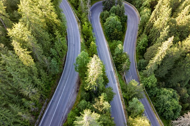 Vue aérienne de la route sinueuse dans le col de haute montagne à travers des forêts de pins verts denses.