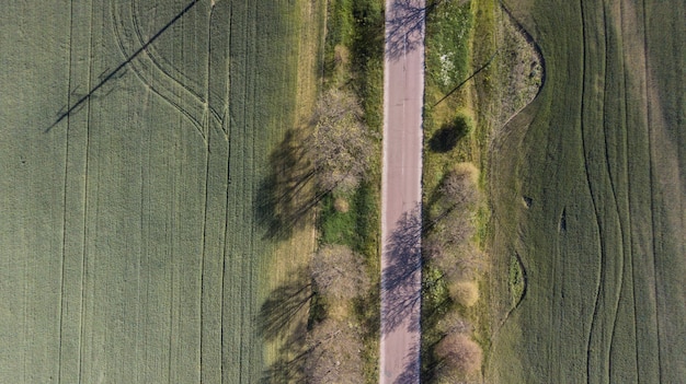 Vue aérienne d'une route sinueuse entre la forêt et les arbres.