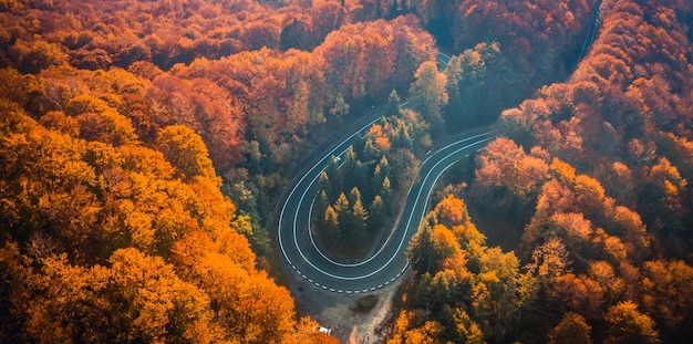 Vue aérienne de la route transfagarasan à la forêt d'automne