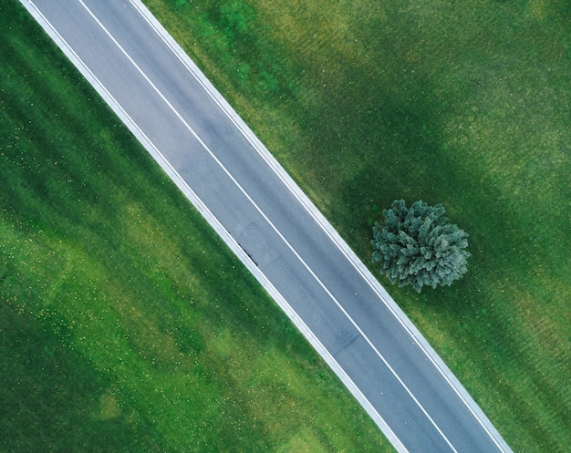 Vue aérienne de la route à travers un beau champ vert dans la soirée au printemps.