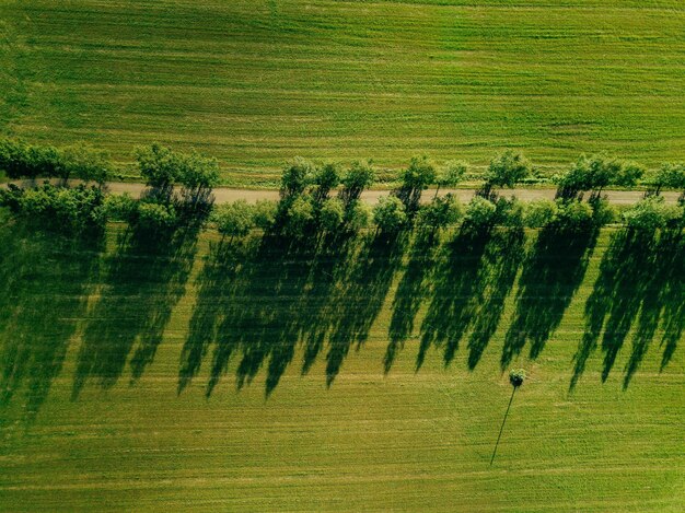 Vue Aérienne D'une Route Traversant La Campagne En été La Finlande Rurale