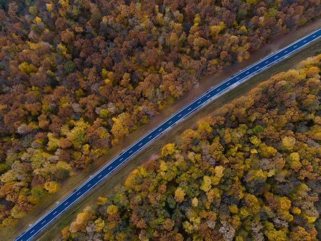 Vue aérienne de la route traversant la forêt d'automne