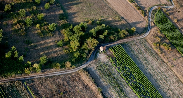 Vue aérienne de la route vide et des champs