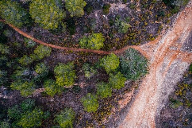 Vue aérienne, routes, forêt