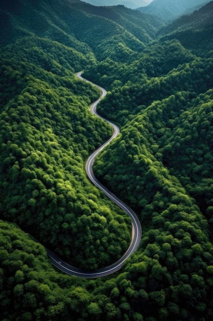 Vue aérienne des routes de montagne sinueuses et des forêts denses créées avec l'IA générative