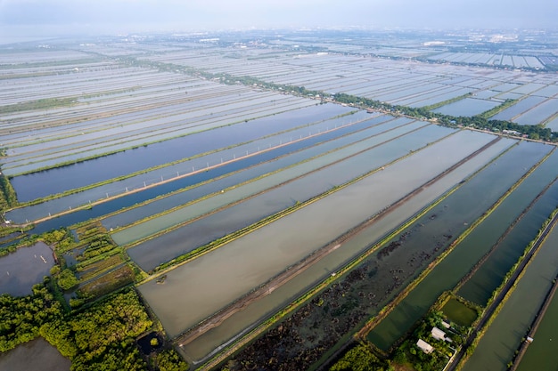 Vue aérienne sur les salines