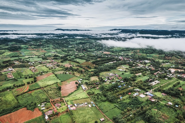 Vue aérienne des terres agricoles de champ vert agricole avec du brouillard dans la campagne le jour de pluie