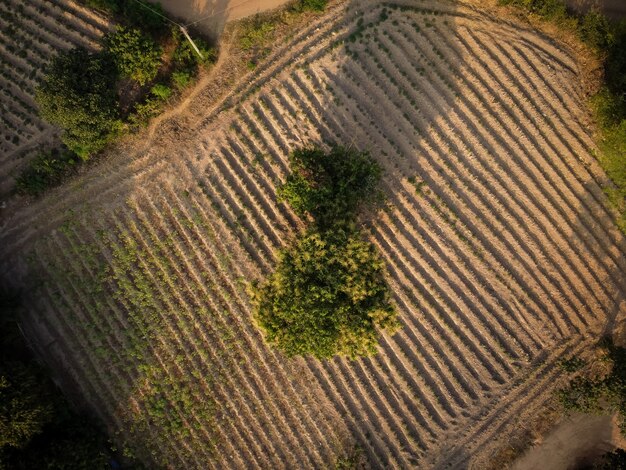 Vue aérienne des terres agricoles rurales