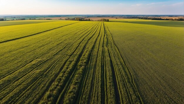 Vue aérienne avec la texture géométrique du paysage de nombreux champs agricoles