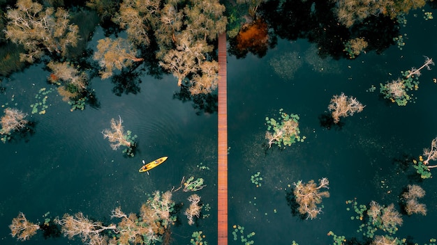 Vue aérienne des touristes activités de mode de vie d'aventure sport pour le kayak ou le canoë sur le lac dans les forêts de mangroves au parc national du jardin botanique de Rayong en Thaïlande