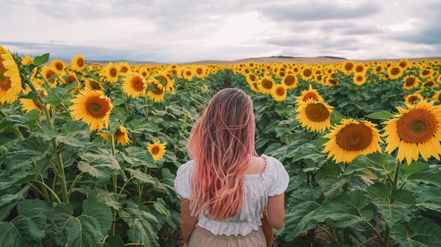 Vue aérienne des tournesols