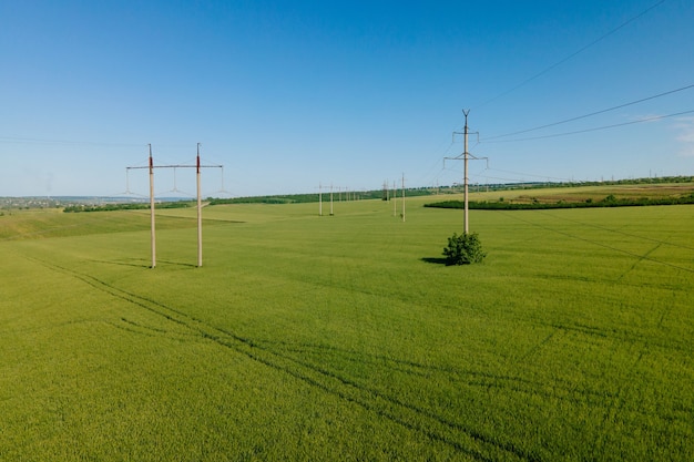 Vue aérienne des tours électriques à haute tension et survolant un champ de blé agriculture moderne drone survolant le champ de blé vert dans la ligne électrique de transmission de printemps