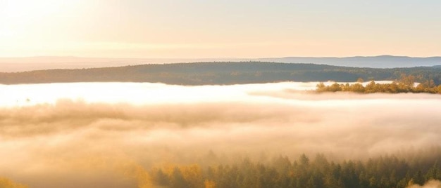 Photo vue aérienne d'un train de marchandises et d'une belle forêt dans le brouillard au lever du soleil en automne