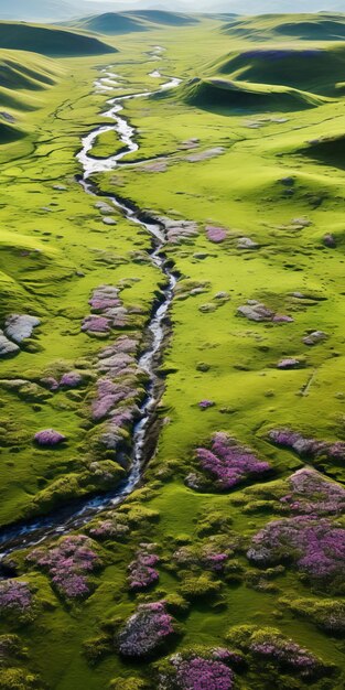 Photo vue aérienne tranquille de la prairie violette en magenta foncé et vert clair