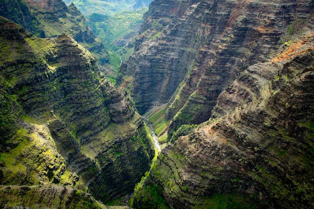 Photo vue aérienne d'une vallée verdoyante à kauai hawaii