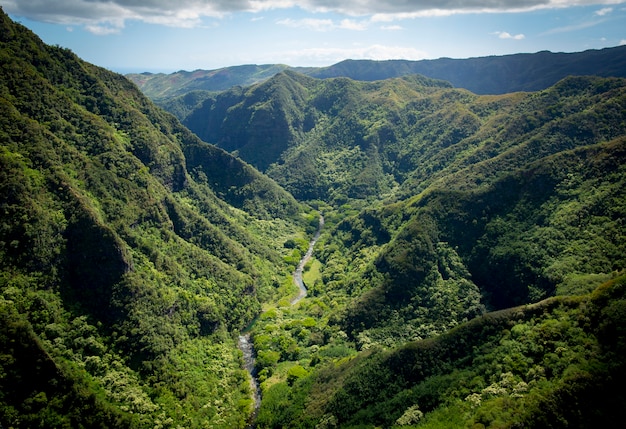 Vue aérienne d'une vallée verdoyante à Kauai Hawaii