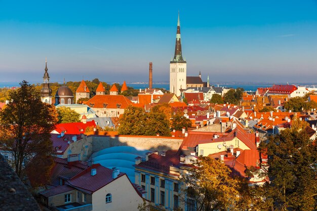 Vue aérienne de la vieille ville de Tallinn Estonie