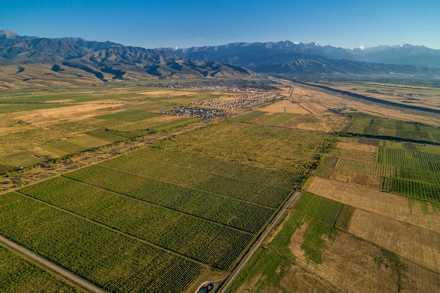 vue aérienne des vignes