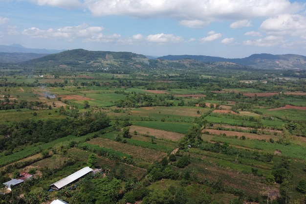 Vue aérienne d'un village et d'une plantation